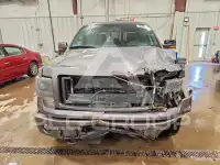 2013 Ford F-150 photo
