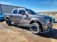 2013 Ford F-150 фото
