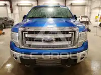 2013 Ford F-150 фото