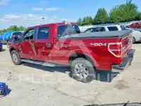 2013 Ford F-150 фото