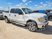 2013 Ford F-150 photo
