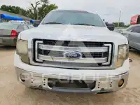 2013 Ford F-150 фото