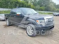 2013 Ford F-150 photo