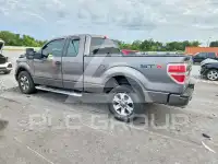 2013 Ford F-150 photo