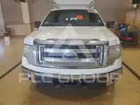 2013 Ford F-150 photo