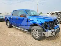 2013 Ford F-150 фото