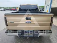2013 Ford F-150 photo