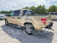 2013 Ford F-150 фото