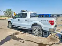 2013 Ford F-150 фото
