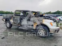 2013 Ford F-150 photo
