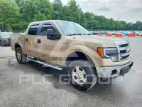 2013 Ford F-150 photo