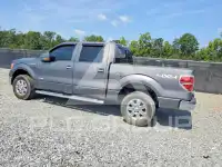 2013 Ford F-150 photo