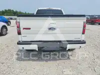 2013 Ford F-150 photo