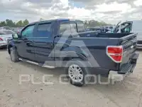2013 Ford F-150 photo