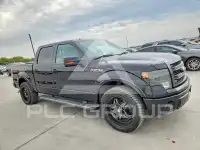 2013 Ford F-150 photo