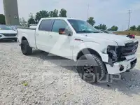 2013 Ford F-150 photo