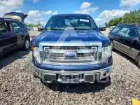 2013 Ford F-150 photo