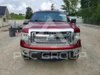 2013 Ford F-150 photo