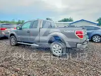 2013 Ford F-150 photo