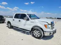 2013 Ford F-150 фото