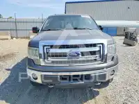 2013 Ford F-150 photo