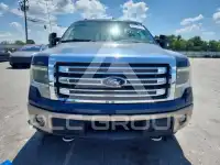 2013 Ford F-150 photo