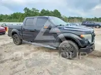 2013 Ford F-150 фото