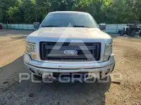 2013 Ford F-150 photo