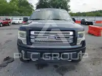 2013 Ford F-150 фото