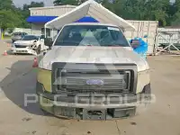 2013 Ford F-150 фото