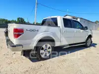 2013 Ford F-150 photo
