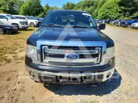2013 Ford F-150 photo