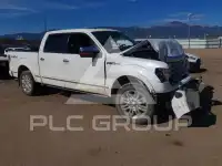 2013 Ford F-150 photo