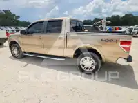2013 Ford F-150 фото