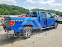 2013 Ford F-150 фото