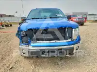 2013 Ford F-150 фото