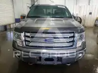 2013 Ford F-150 фото