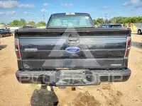 2013 Ford F-150 фото