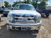 2013 Ford F-150 photo