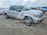 2013 Ford F-150 фото