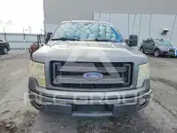 2013 Ford F-150 photo