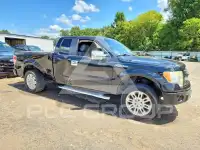 2013 Ford F-150 фото