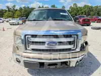 2013 Ford F-150 фото