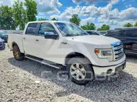 2013 Ford F-150 photo