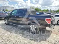 2013 Ford F-150 photo