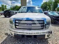 2013 Ford F-150 photo