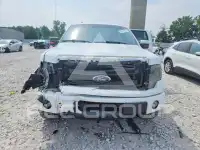 2013 Ford F-150 photo