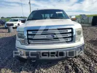 2013 Ford F-150 photo