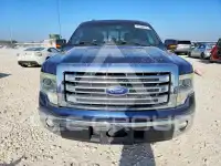 2013 Ford F-150 photo