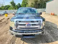 2013 Ford F-150 photo